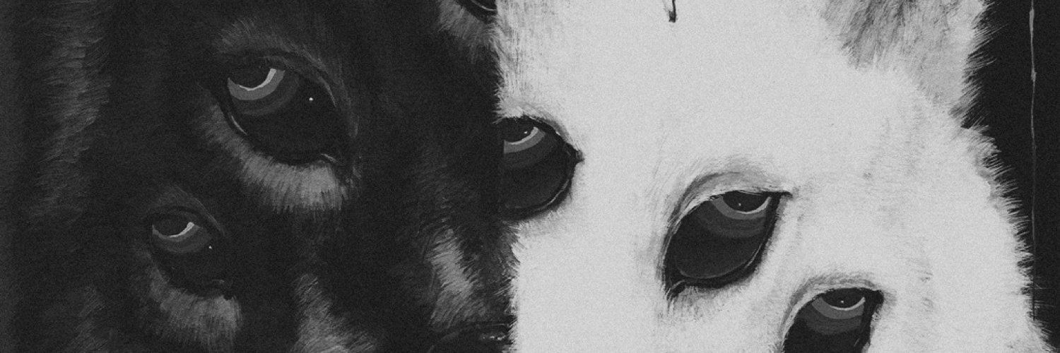Amanu360's profile banner image
