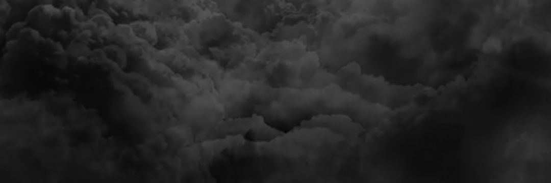 Bby Bear🐻 banner