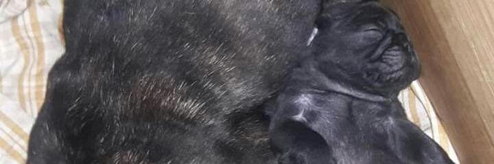 andreafa6's profile banner image