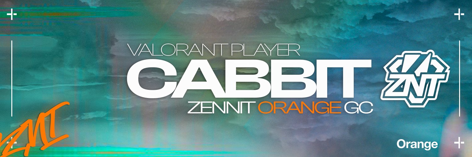 ZNT cabbit banner