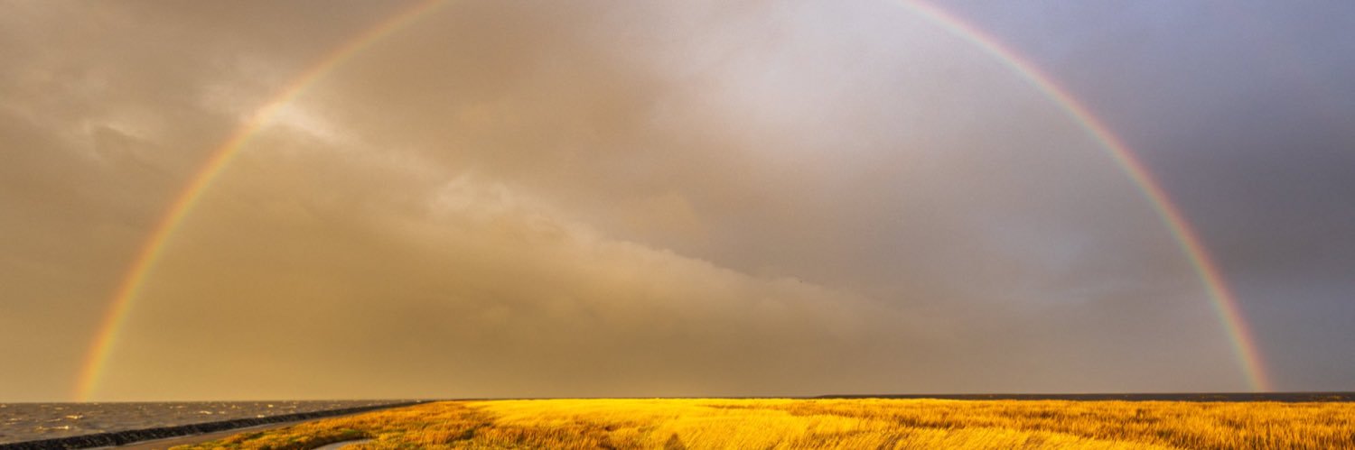 Johannes Kramer banner