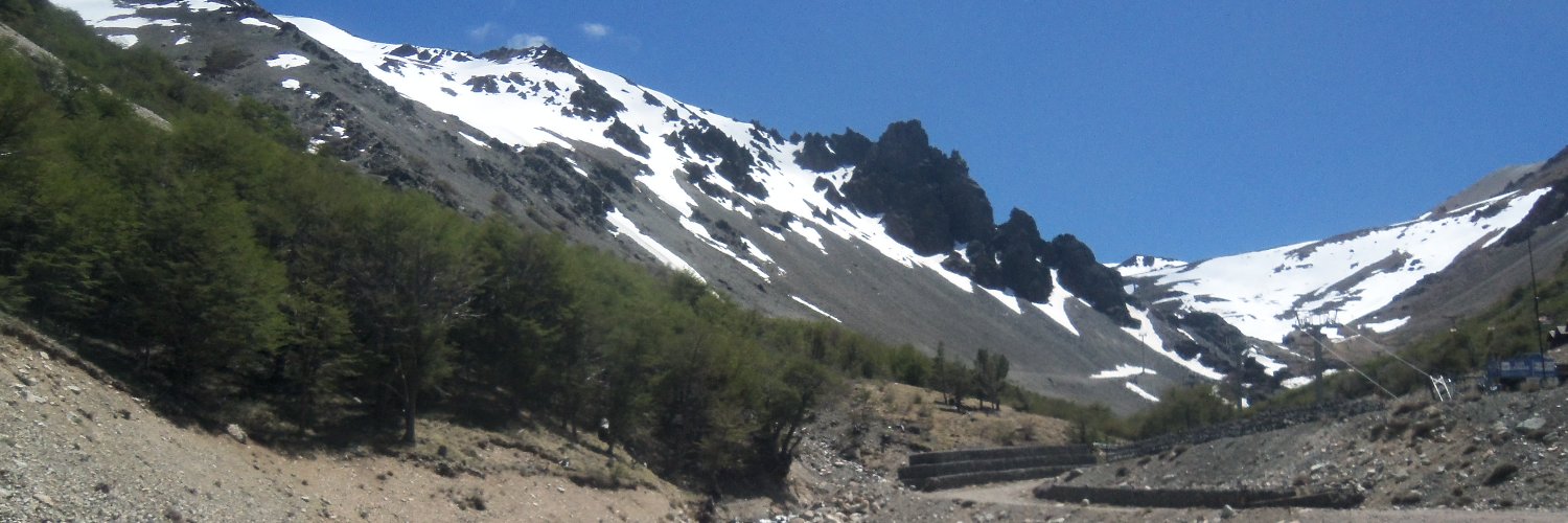 Lilibelli's profile banner image