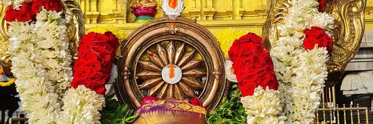 Temple Devotee banner