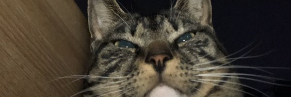 altick25 Profile Banner