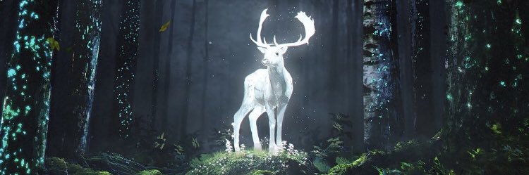 ArtemisMoonCard's profile banner image