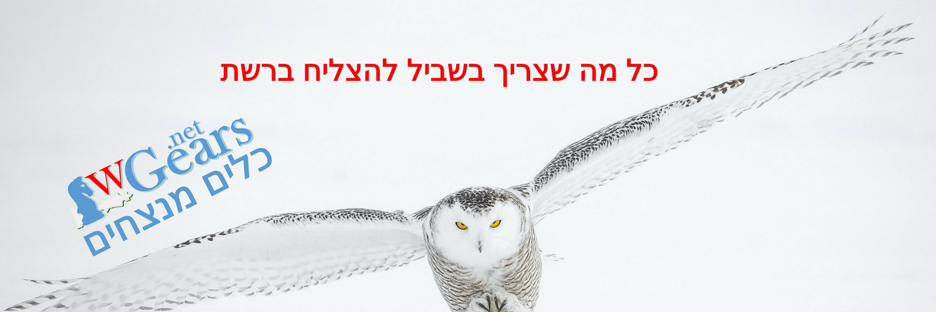 עידו banner