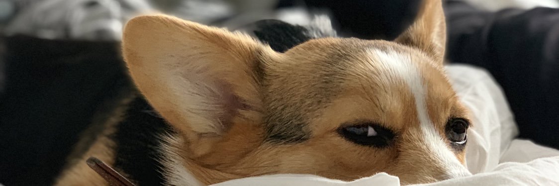 thisiscaroline's profile banner image