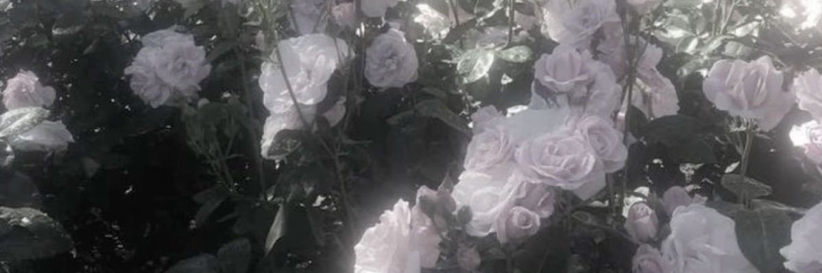5hs2c's profile banner image