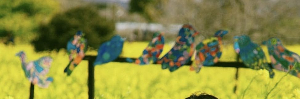 inn • Fast wa di bio banner