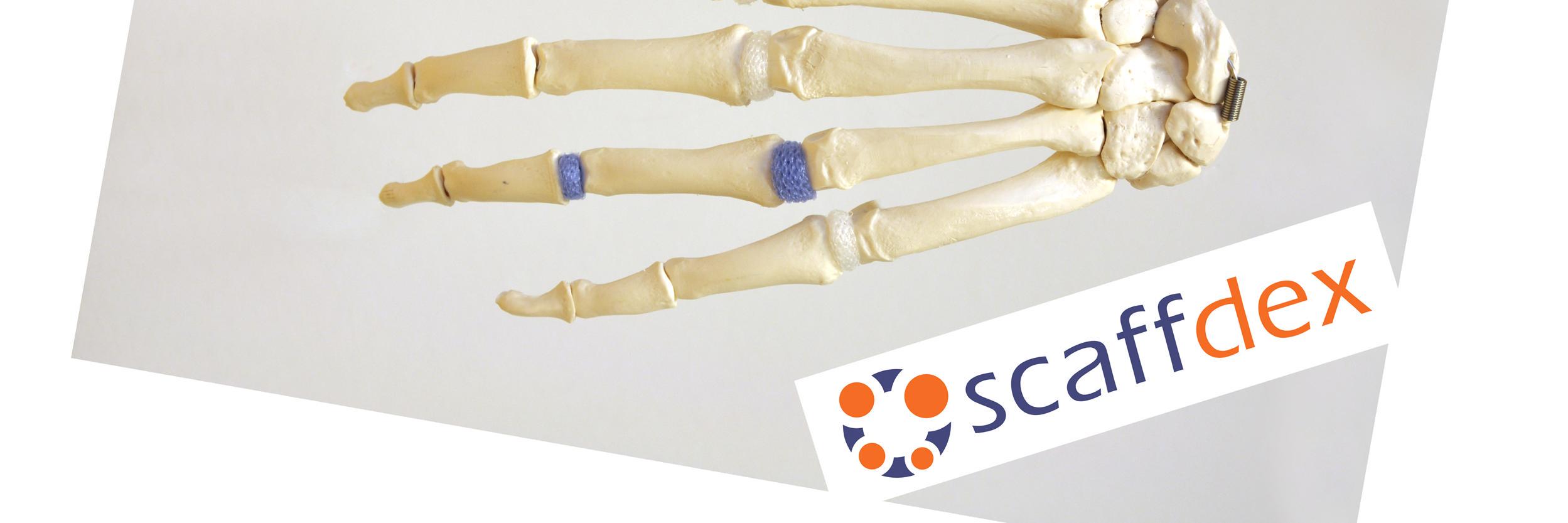 Scaffdex's profile banner image