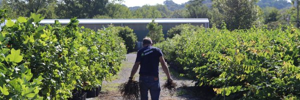 ForestReLeaf Profile Banner