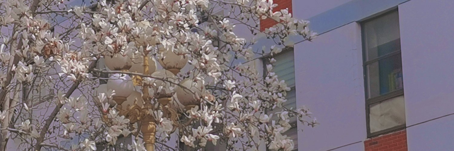 yayao( ❛ᴗ❛ )o banner