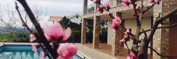 omercelik67's profile banner image