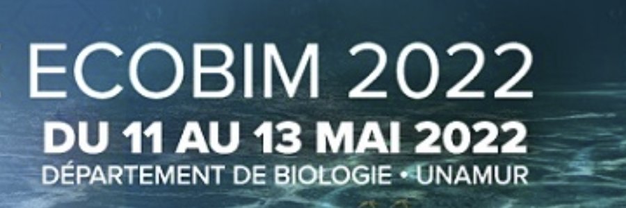 EcoBIM 2022 banner