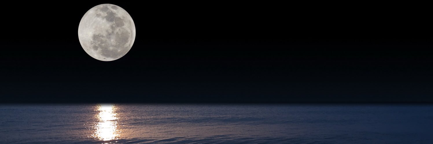 xPastagazFr banner