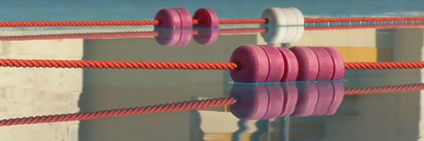future_lidos Profile Banner