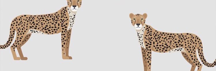 JuliavanDooren's profile banner image