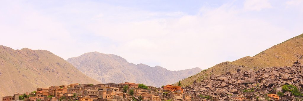 cryyypts's profile banner image
