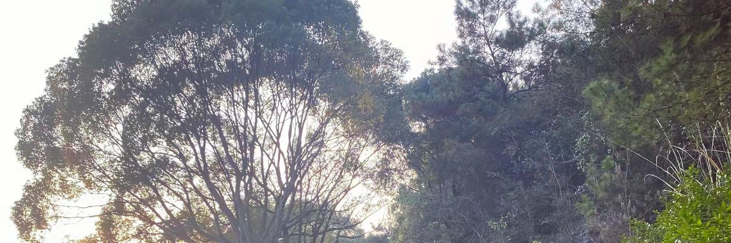 穆东 banner