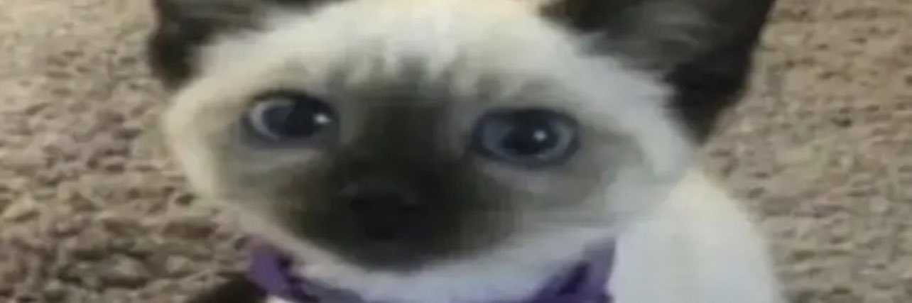 FakeVysu's profile banner image
