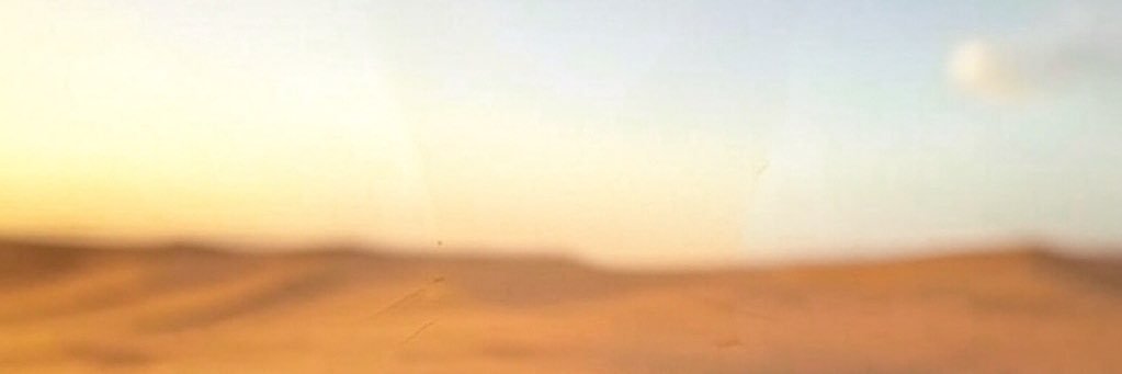 Michal banner