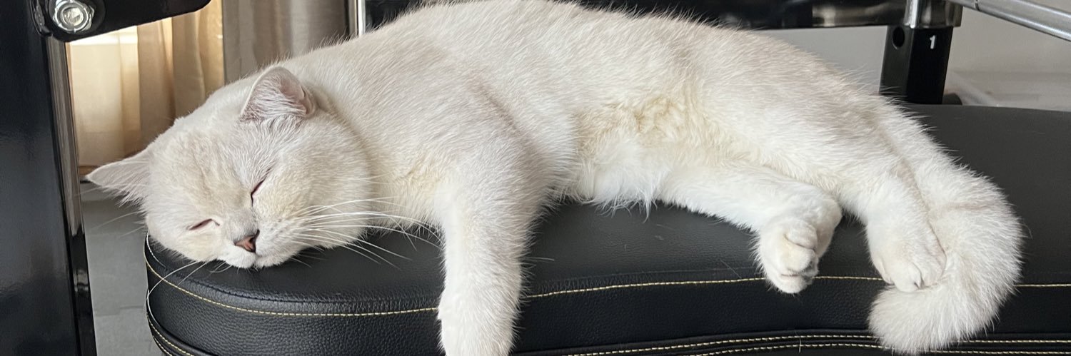 Kittigap banner