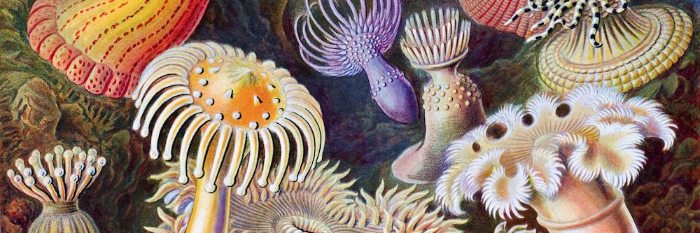 Dot Sci-Fi banner