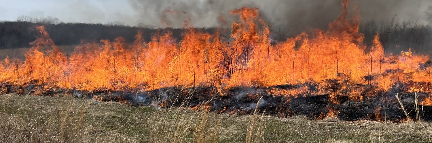 Bailey Simpson banner