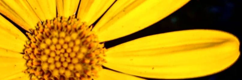 Ryne_0's profile banner image