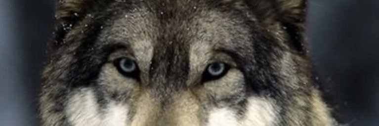yonielbravo's profile banner image