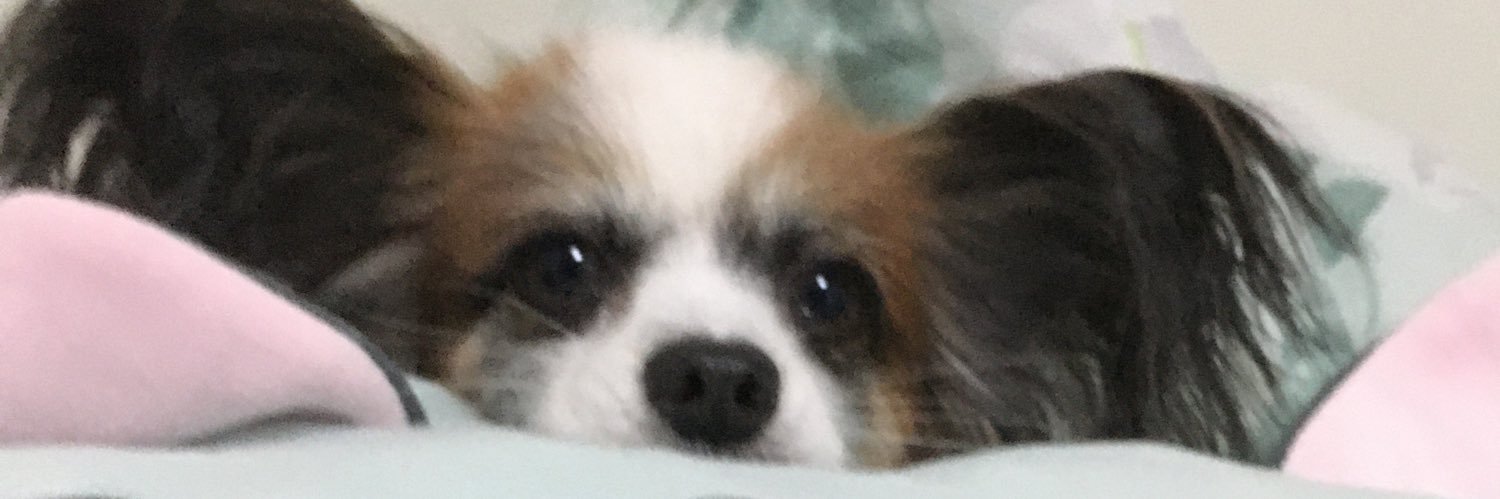 WINKMARUSU's profile banner image