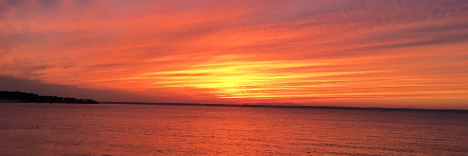 elenac_d's profile banner image