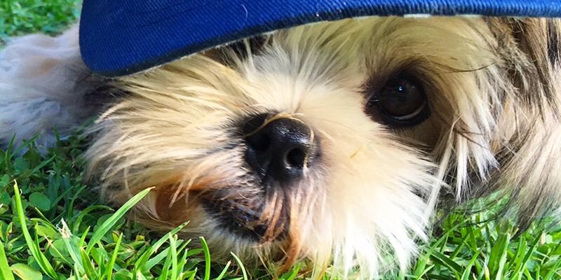 tamwhite's profile banner image