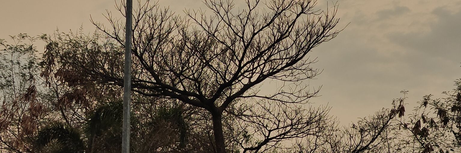 W_Siddd's profile banner image