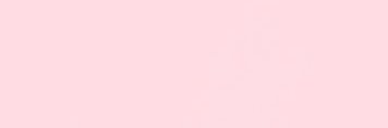 🌸 banner