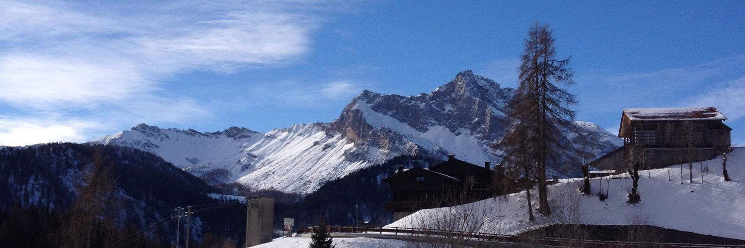 Paolo Zuliani banner