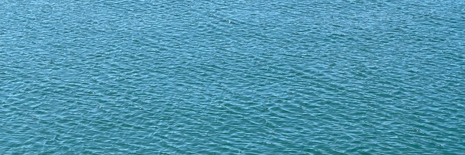 Marius Kleinheyer banner