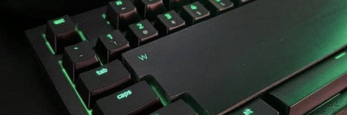 kaylaborgin's profile banner image