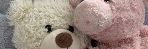 ꕤ banner