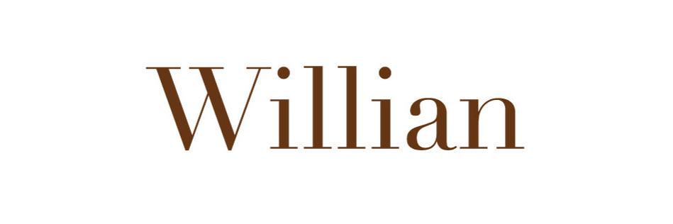 ShopWillian's profile banner image
