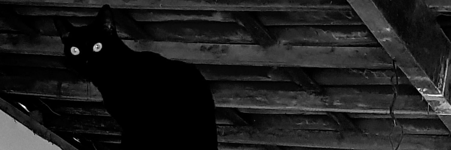 AngDThug's profile banner image