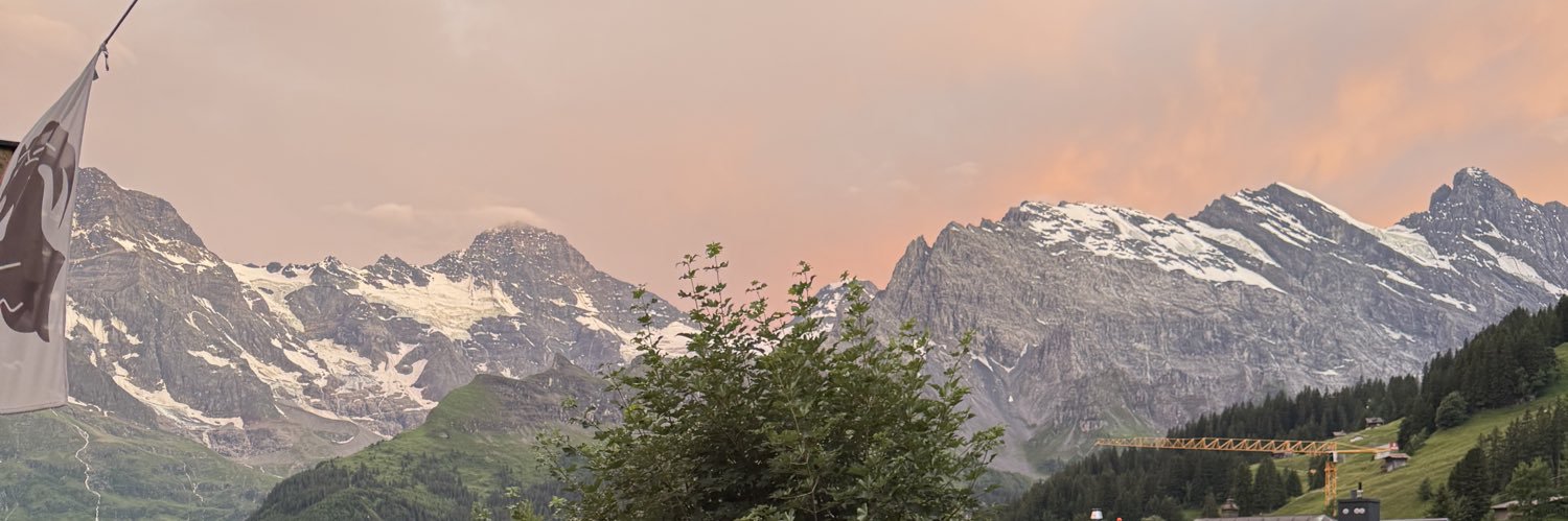 PabloPellizardi's profile banner image