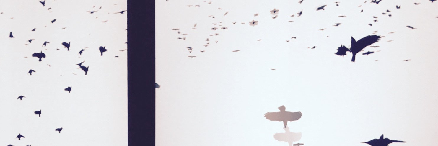 Roger Chen :: banner