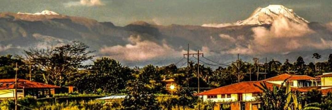 Luis Carlos Orejarena banner