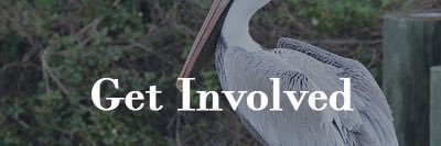 St. Mary LaNERR BHS banner