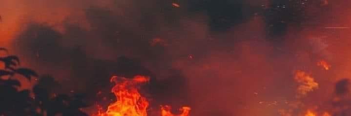 D1Castelan's profile banner image