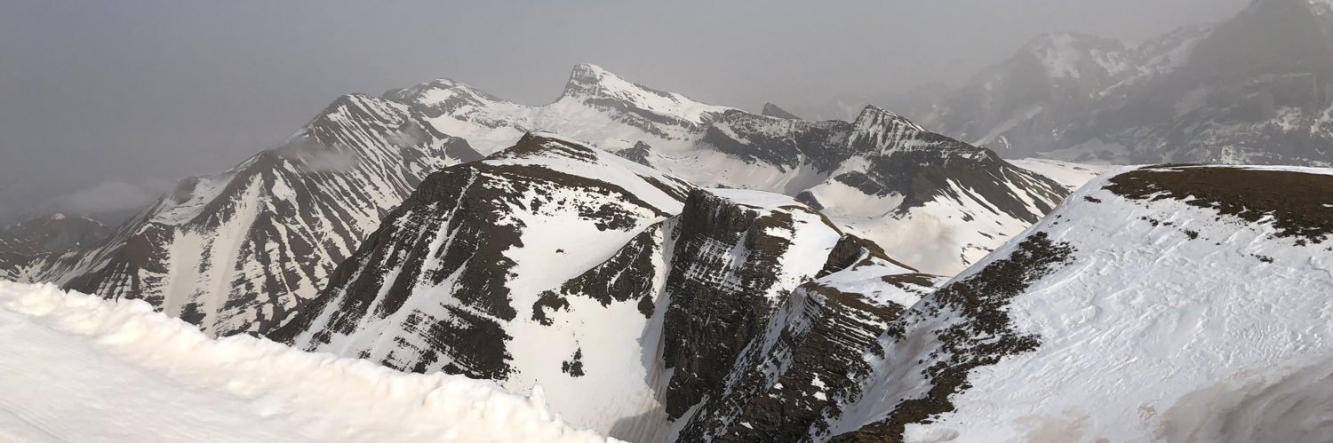 Wey Rain 🇺🇦💙💛 banner