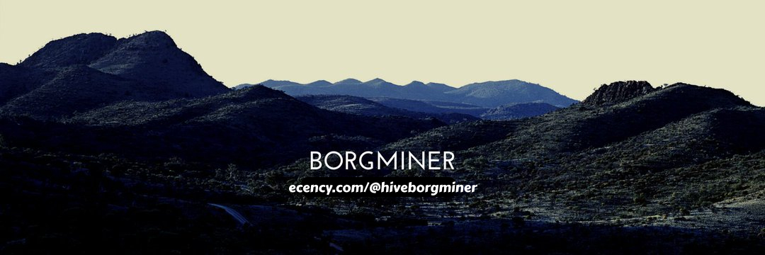 BorgMiner's profile banner image