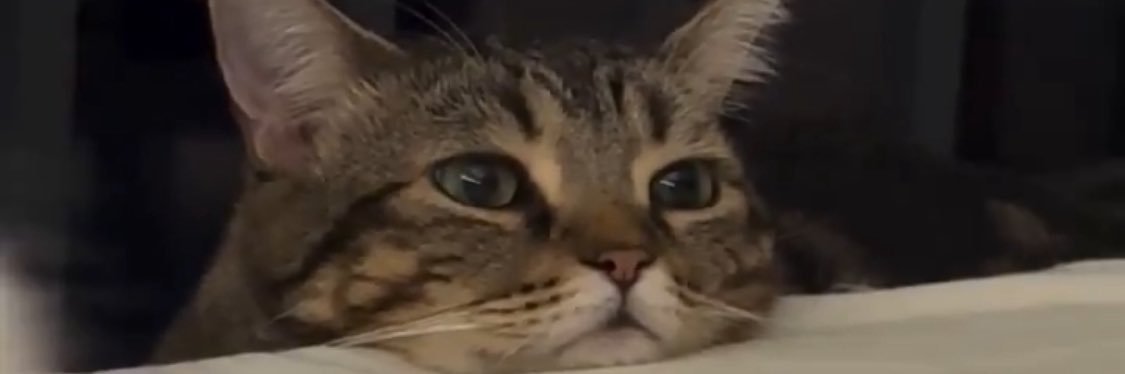 lexiibestyy's profile banner image