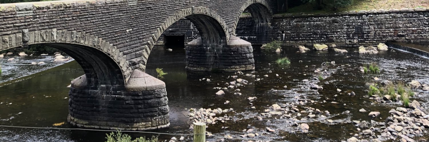 Sarah Terrett banner